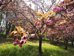 -莲花池公园