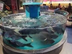 -魏铭鱼头捞饭(晋阳路店)