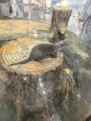 -Zoolung Zoolung动物主题公园(海信广场店)