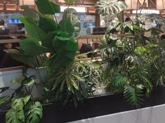 -吕氏疙瘩汤·新鲁菜(新贵和店)