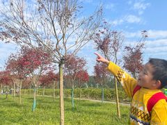 -桤木河湿地公园