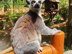 -北京野生动物园