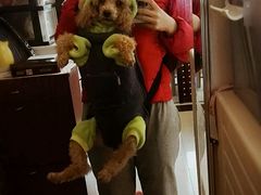 -爱侣宠医·鹦鹉专科·小型哺乳类·异宠专科(灵石路店)