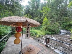 -峡谷浮石林景区