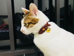 -五月木作·DIY木作文创体验店(北京路店)