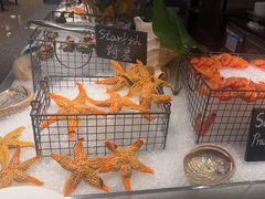 -Social 秀西餐厅-长沙瑞吉酒店(运达店)