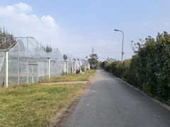 -前小桔亲子创意农场·草莓采摘·露营烧烤