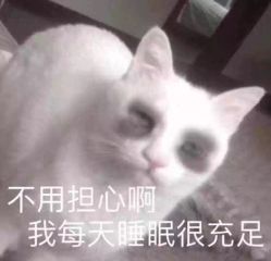 -苗塑堂减肥艾灸