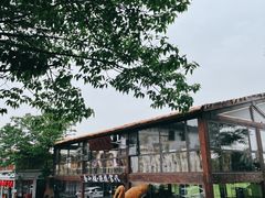 -八大山人梅湖景区