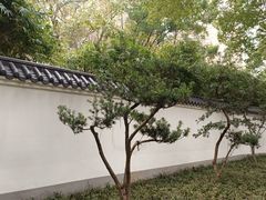 -堤角公园