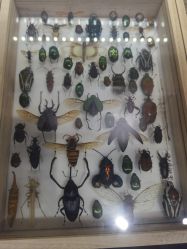 -酷嗒动物文化乐园(cutezoo西溪乐天城店)