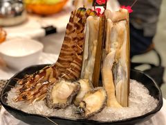 -鲜入围煮花胶鸡海鲜火锅
