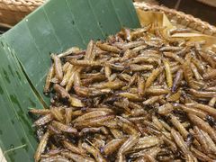 -银生食府·普洱菜(金星店)