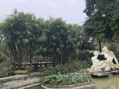 -南山植物园