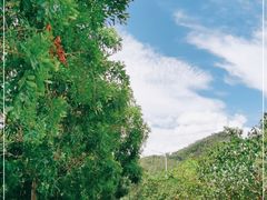 -凤岗南门山森林公园