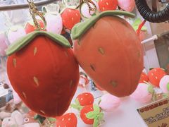 -PAWTOY爪e玩偶店(天兴罗斯福店)