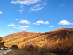 -塞罕坝国家级自然保护区