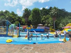 -重庆海昌加勒比海水世界