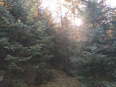 -芦芽山旅游度假区