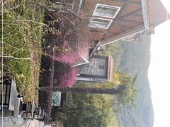 -梦娜斯庄园