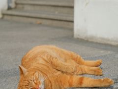 -上海市工艺美术博物馆
