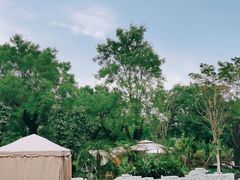 -Supine Bistro溯泮餐厅