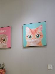 -洗脸猫·洗脸吧