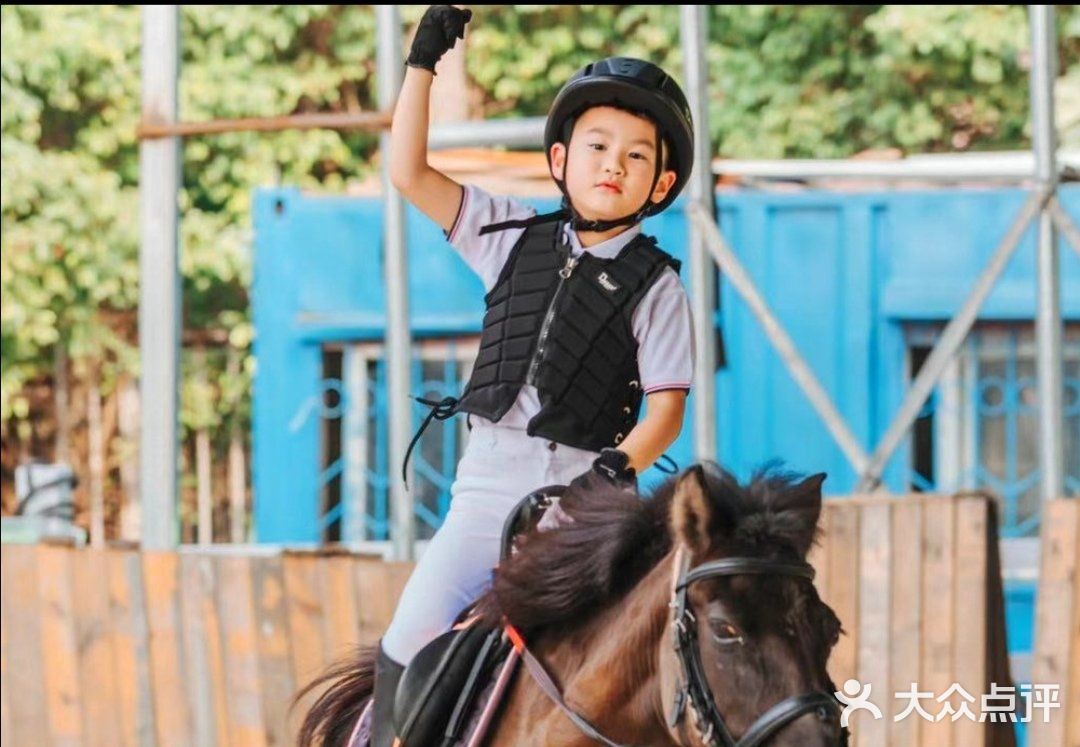 可是今天告诉大家，娃娃也可以培养马术的呢！