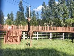 -鄂尔多斯野生动物园