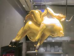 -金龙寨(解西店)