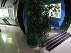 -上海昆虫博物馆