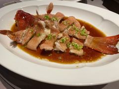 -子福慧(虹桥店)