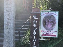 -岚山猴子公园