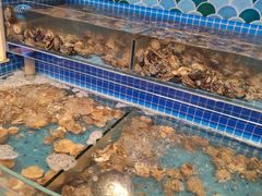 水产区-乔哥铭洋海鲜自助(皇城恒隆广场店)