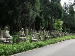 -武陵山森林公园