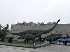 -安徽省地质博物馆