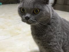 -广州保龄球馆(广州天河体育中心店)