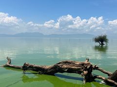 -捞渔河湿地公园