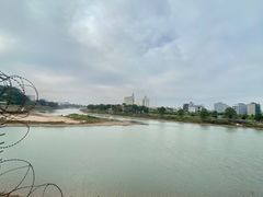 -越南街(万众国际批发市场店)