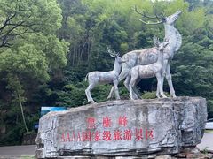 -长沙黑麋峰国家森林公园