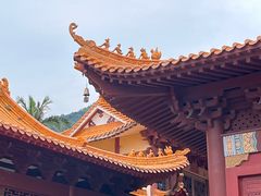 -深圳仙湖植物园