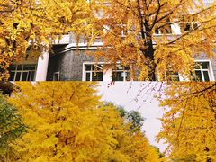 -北京大学赛克勒考古与艺术博物馆
