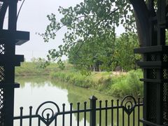 -合肥滨湖国家森林公园