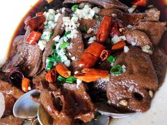 -河畔春天时尚餐厅