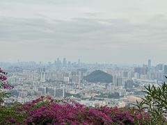 -广州市白云山风景名胜区