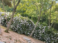 -无锡动物园·太湖欢乐园