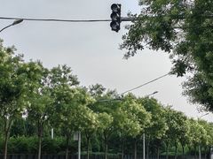 -北坞公园