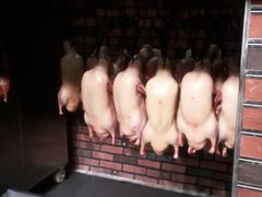 -同喜烤鸭店(光芒店)