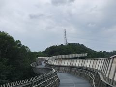 -福道