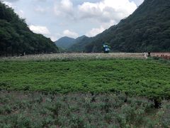 -广州市石门国家森林公园